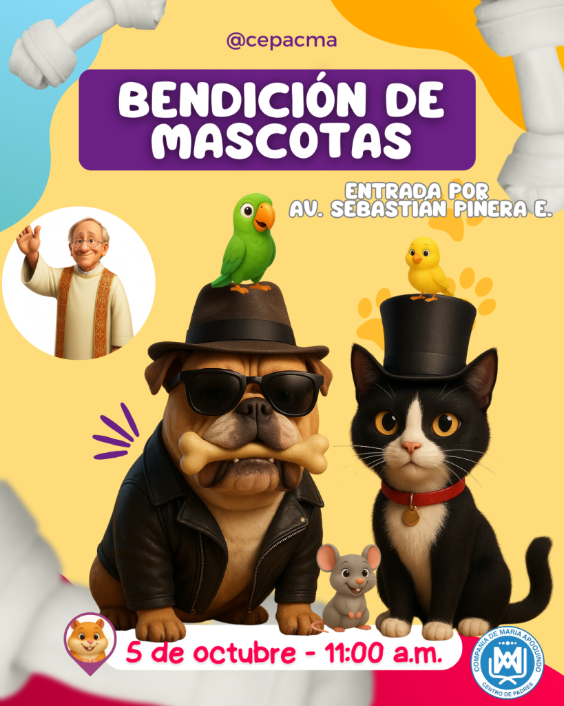 @cepacma